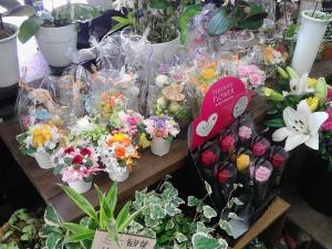 もうすぐ母の日ですね～｜「花ポケット」　（兵庫県加古川市の花キューピット加盟店 花屋）のブログ